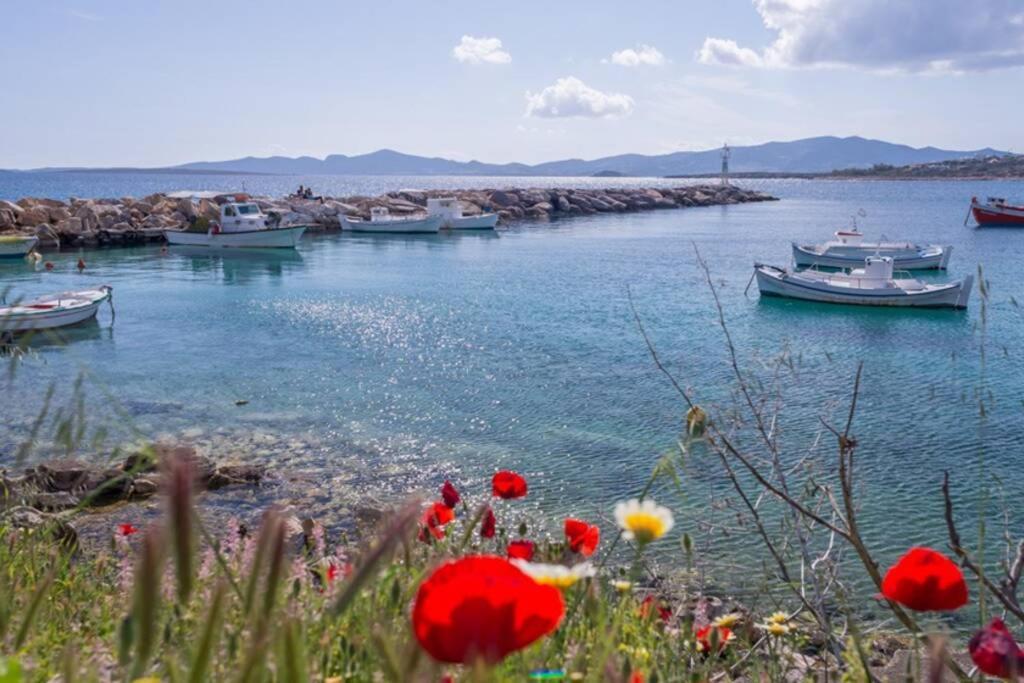 Exohiko Villa Alikí Kültér fotó